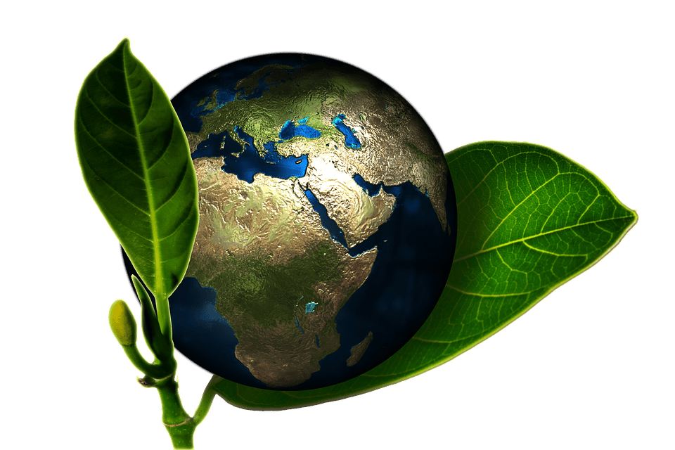 sustainable business green earth