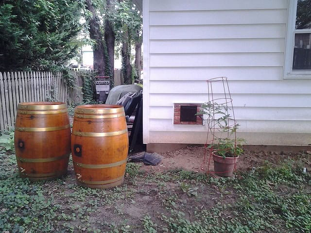 how to harvest rainwater with rainwater barrels