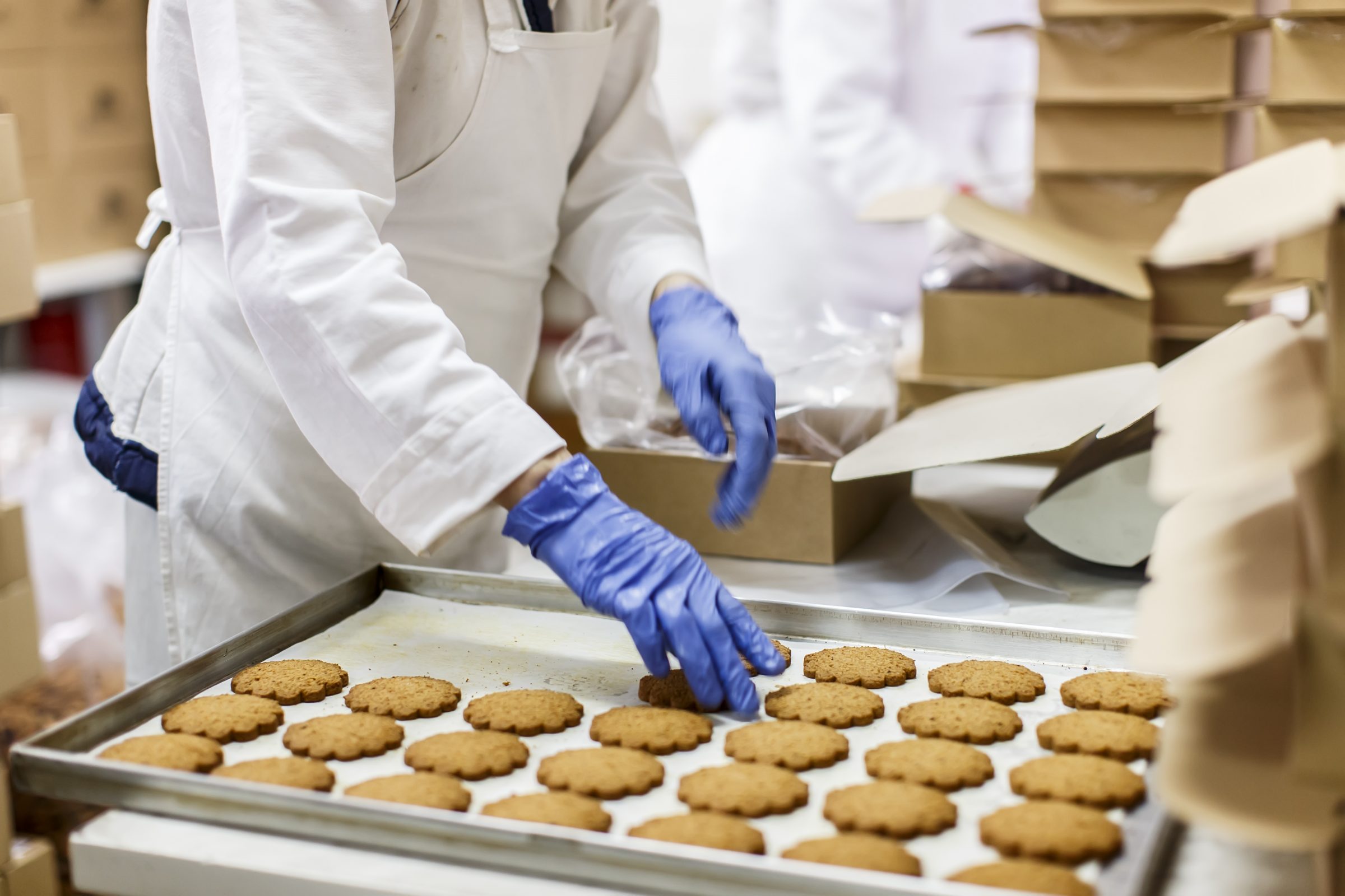 A worker at a food manufacturing facility, wearing an apron and gloves, carefully packages baked goods into a box. Increased safety is part of the future of the food manufacturing industry