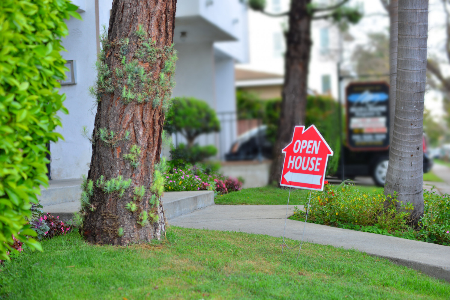 A red open house sign points towards the entrance to a building, outside near a tree, green lawn, and sidewalk.