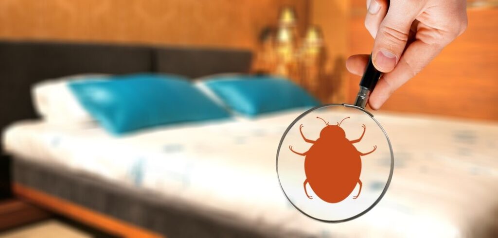 A magnifying glass held in a man’s hand has the silhouette on a bed bug in it. A hotel bed is in the background, emphasizing the need for eco-friendly bed bug prevention in hotels. 